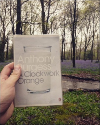 Book 6 of 150