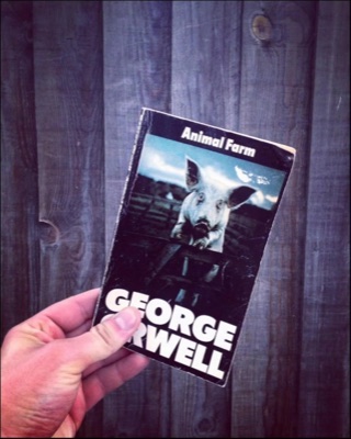 Book 78 of 150