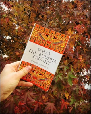 Book 84 of 150